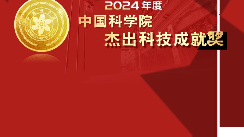 企业数字化工具定制开发的必要性及其演进